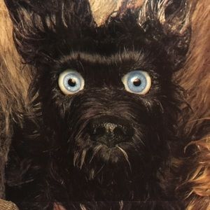 Meet your Posher, Todd